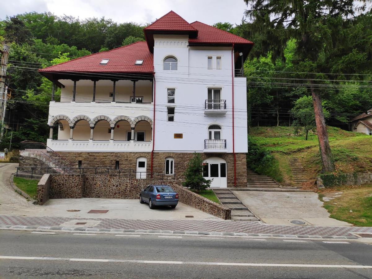 Vila Turnul Hotel Calimanesti Exterior photo