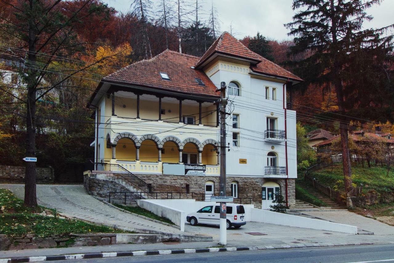 Vila Turnul Hotel Calimanesti Exterior photo